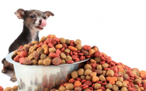 dog foods